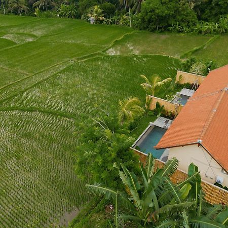 Uma Rimbun Pool Villa By Uniquecations Ubud  Bagian luar foto